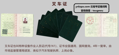 t01ee4ba2537a56162e.png